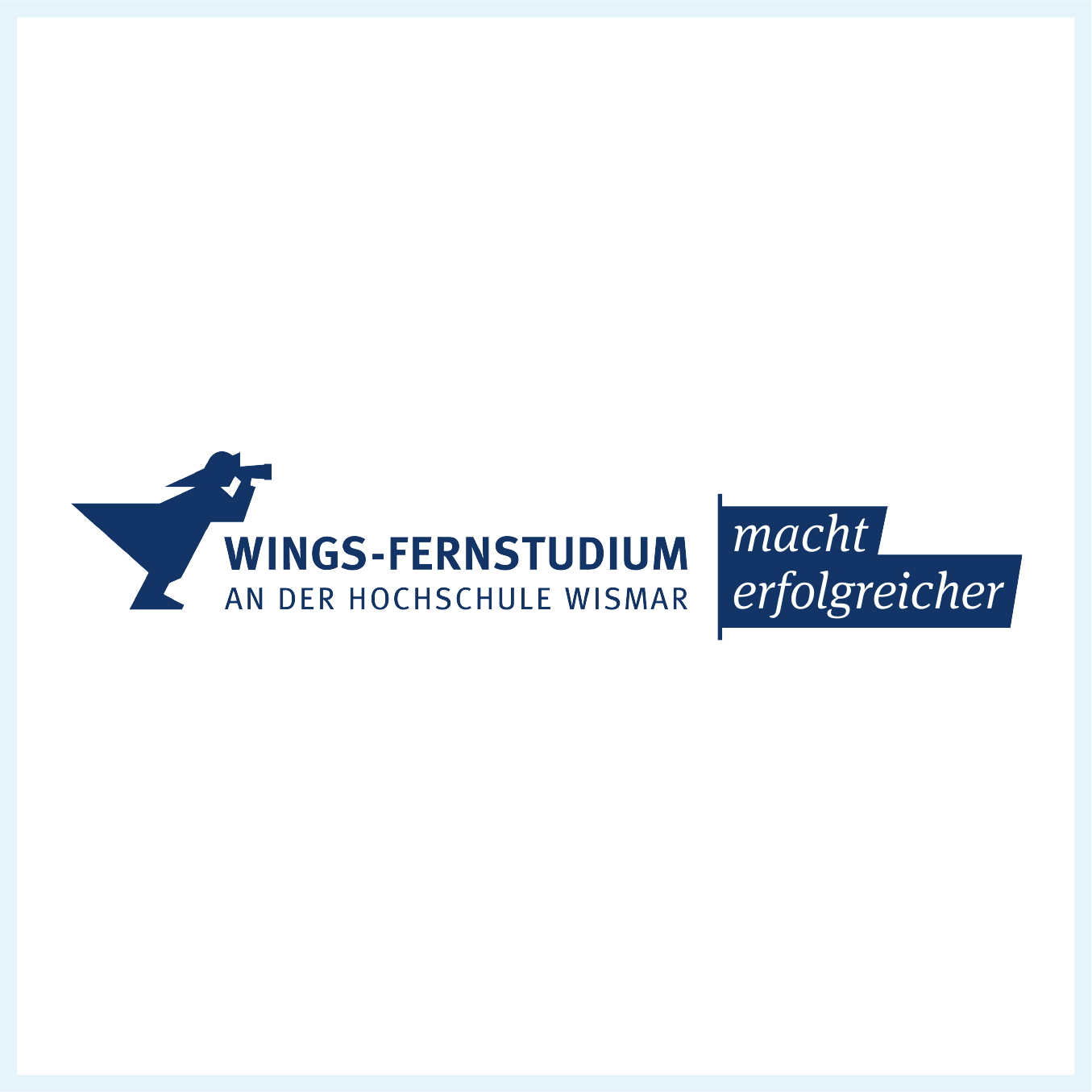 Logo WINGS – Wismar International Graduation Services GmbH 
